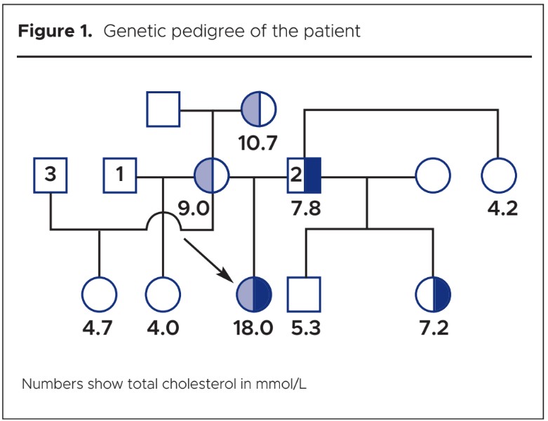 1283 Van Heyningen Figure 1