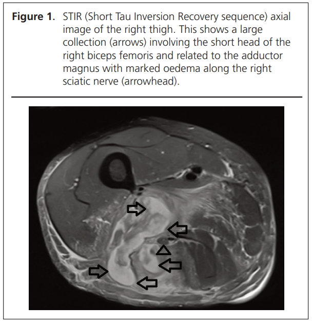 809 Shah Figure 1