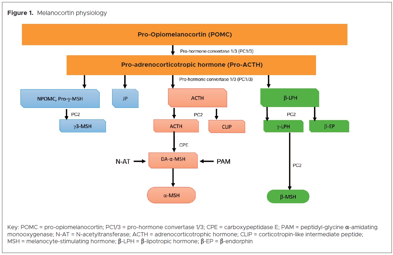 is melanotan a steroid View of Association of tanning injection with hypercortisolism,  hyperglycaemia and ketosis in type 1 diabetes mellitus