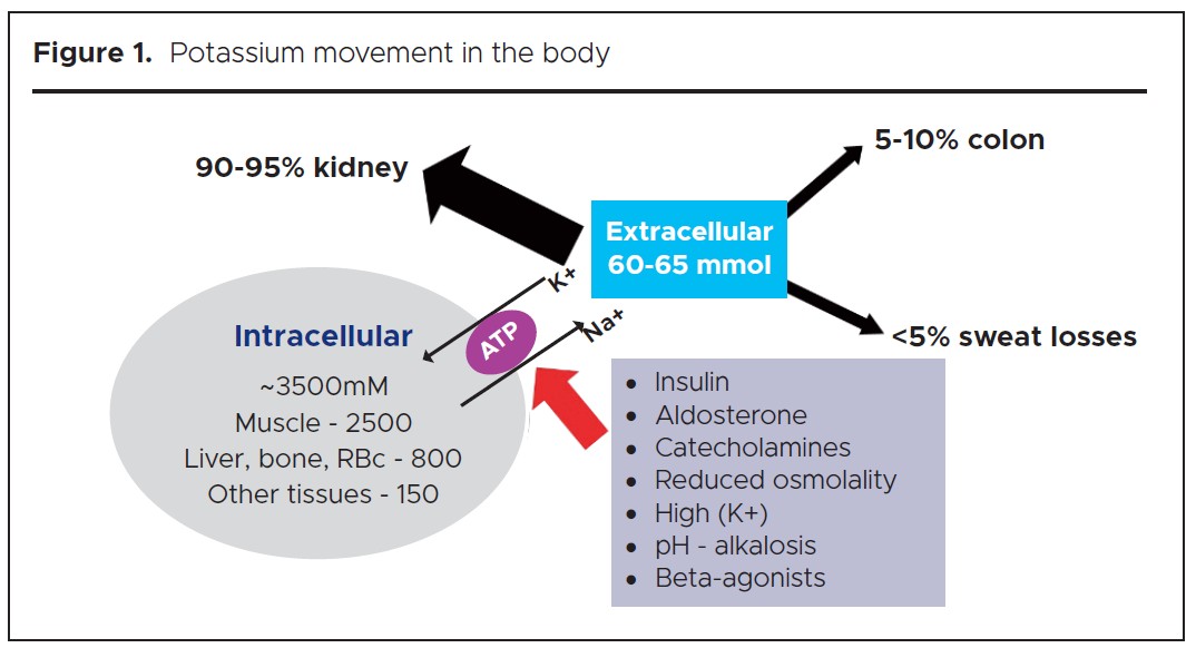1381 Bhandari Figure 1