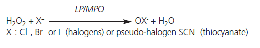 451 Perraudin