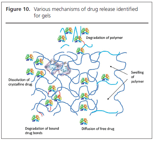 495 Taylor Figure 10