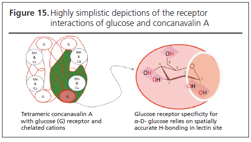 495 Taylor Figure 15